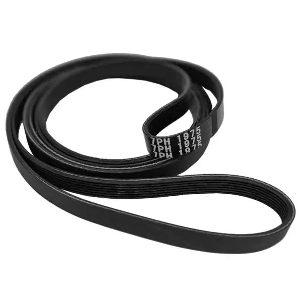 1975H7 Belt for AEG dryer - Sparesbarn