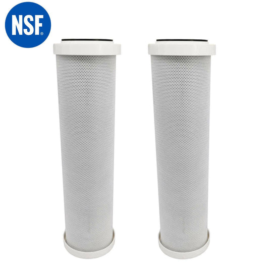 2X 0.5micron Coconut carbon block water filter cartridge 10x2.5 Replacement Sparesbarn