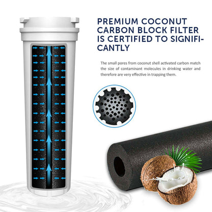 Fridge Ice Water Filters For Fisher & Paykel RFC2400A RWF2400A 836848 836860 Sparesbarn