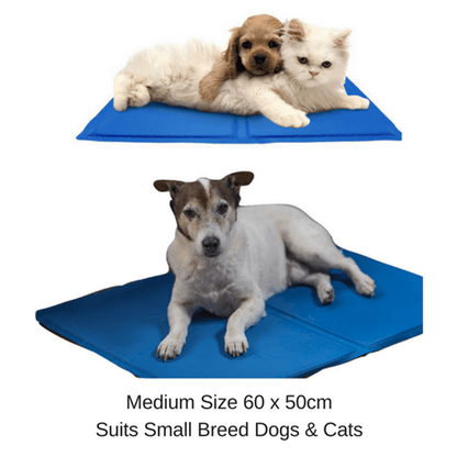 Pet Cool Gel Mat Dog Cat Bed Non-Toxic Cooling Cool Summer Pad 6 Sizes Sparesbarn
