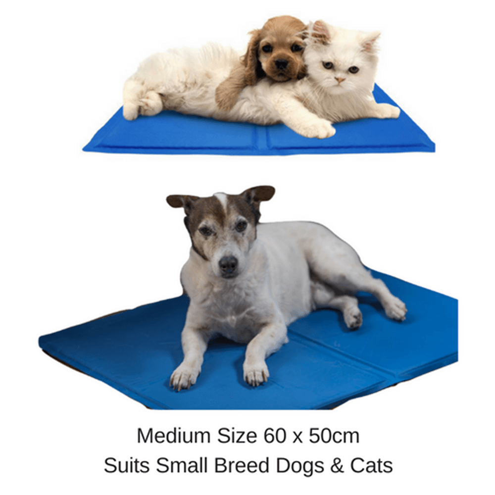 Pet Cool Gel Mat Dog Cat Bed Non-Toxic Cooling Cool Summer Pad 6 Sizes Sparesbarn