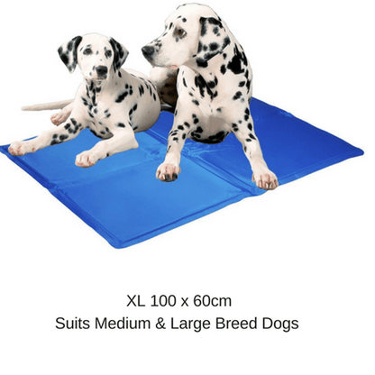 Pet Bed Gel Mat Pad Dog Beds Bedding Soft Mattress Cushion Pillow 5 Sizes Sparesbarn