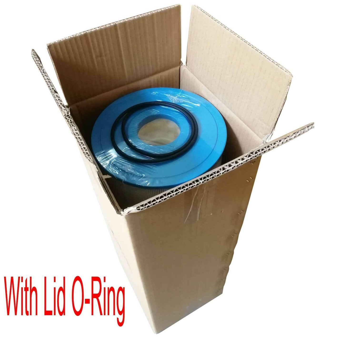 Pool Filter cartridge With Lid O-Ring For Astral Hurlcon ZX250 78099 SQ FT250 Sparesbarn